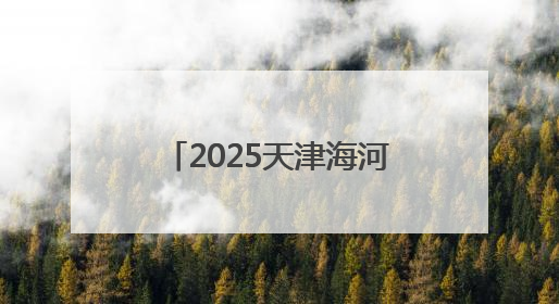 2025天津海河国际龙舟赛举行