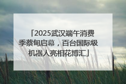 2025武汉端午消费季蔡甸启幕，百台国际级机器人亮相花博汇