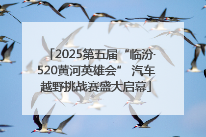 2025第五届“临汾·520黄河英雄会” 汽车越野挑战赛盛大启幕