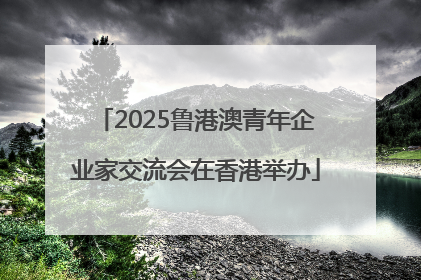 2025鲁港澳青年企业家交流会在香港举办