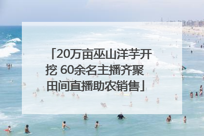 20万亩巫山洋芋开挖 60余名主播齐聚田间直播助农销售