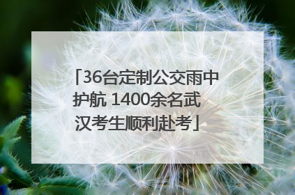36台定制公交雨中护航 1400余名武汉考生顺利赴考