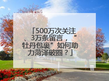 500万次关注、3万条留言，“牡丹包裹”如何助力菏泽破圈？