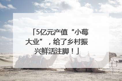 5亿元产值“小莓大业”，给了乡村振兴鲜活注脚！