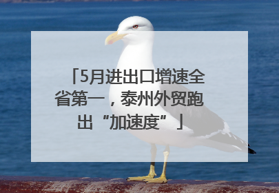 5月进出口增速全省第一，泰州外贸跑出“加速度”