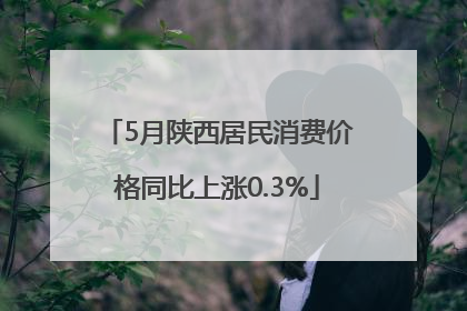 5月陕西居民消费价格同比上涨0.3%