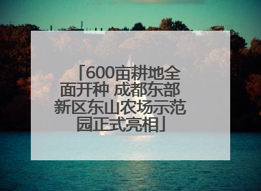 600亩耕地全面开种 成都东部新区东山农场示范园正式亮相