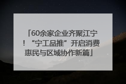 60余家企业齐聚江宁！“宁工品推”开启消费惠民与区域协作新篇