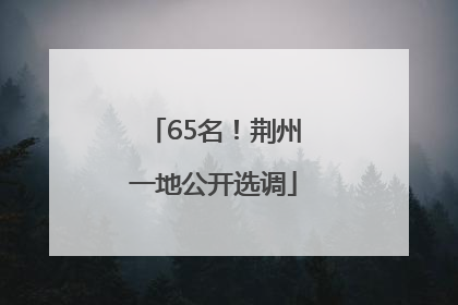 65名！荆州一地公开选调