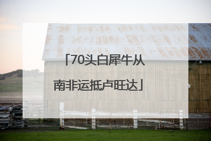 70头白犀牛从南非运抵卢旺达