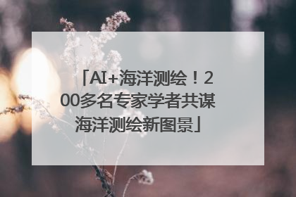 AI+海洋测绘！200多名专家学者共谋海洋测绘新图景
