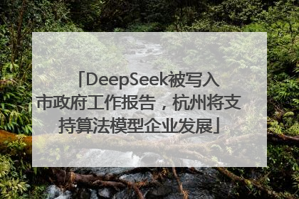 DeepSeek被写入市政府工作报告，杭州将支持算法模型企业发展