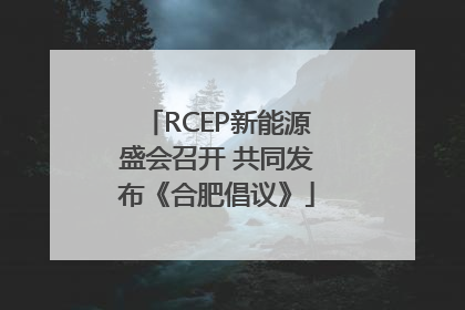 RCEP新能源盛会召开 共同发布《合肥倡议》